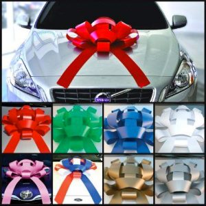 Delightful MINI 12″ BOWS - Shake Up Your Showroom