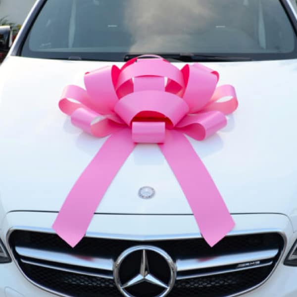 Pink Jumbo BCA Car Bow - Shake Up Your Showroom