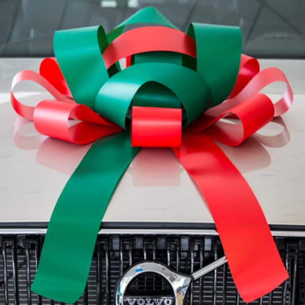 10 Little-Known Facts About Giant Car Bows