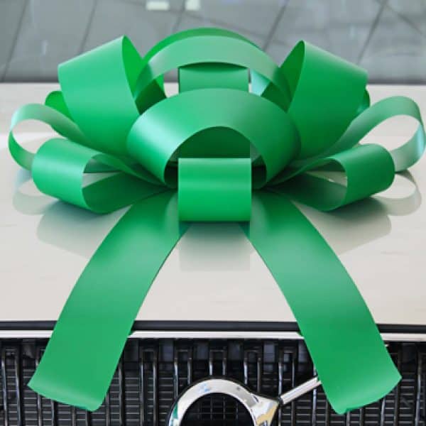 Giant Car Bow W/ Non-scratch Magnetic Base