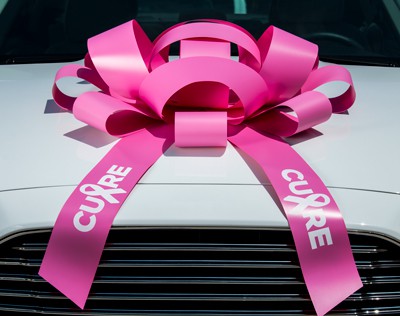 Pink Jumbo BCA Car Bow - Shake Up Your Showroom