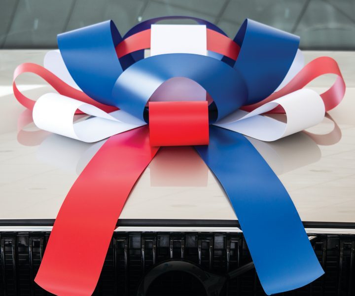 Giant Red 30 inch Magnetic Car Bow, Weather Resistant Vinyl