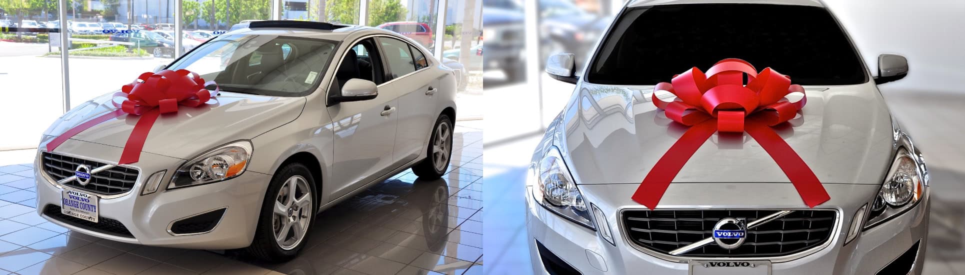 Online Store For Showroom Decor and More! Shake Up Your Showroom